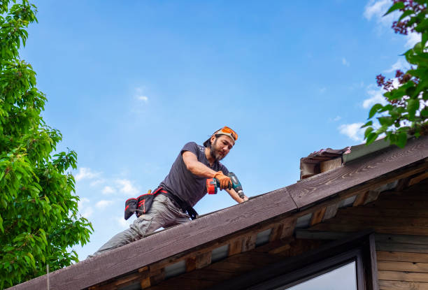 Best Skylight Installation and Repair  in Mount Airy, MD